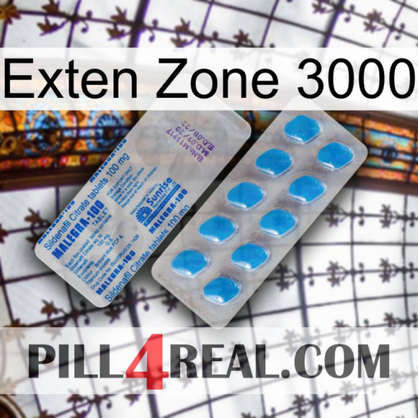 Exten Zone 3000 new15.jpg